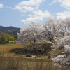 春の里山