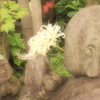 ありがと。