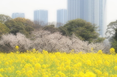 都会の春