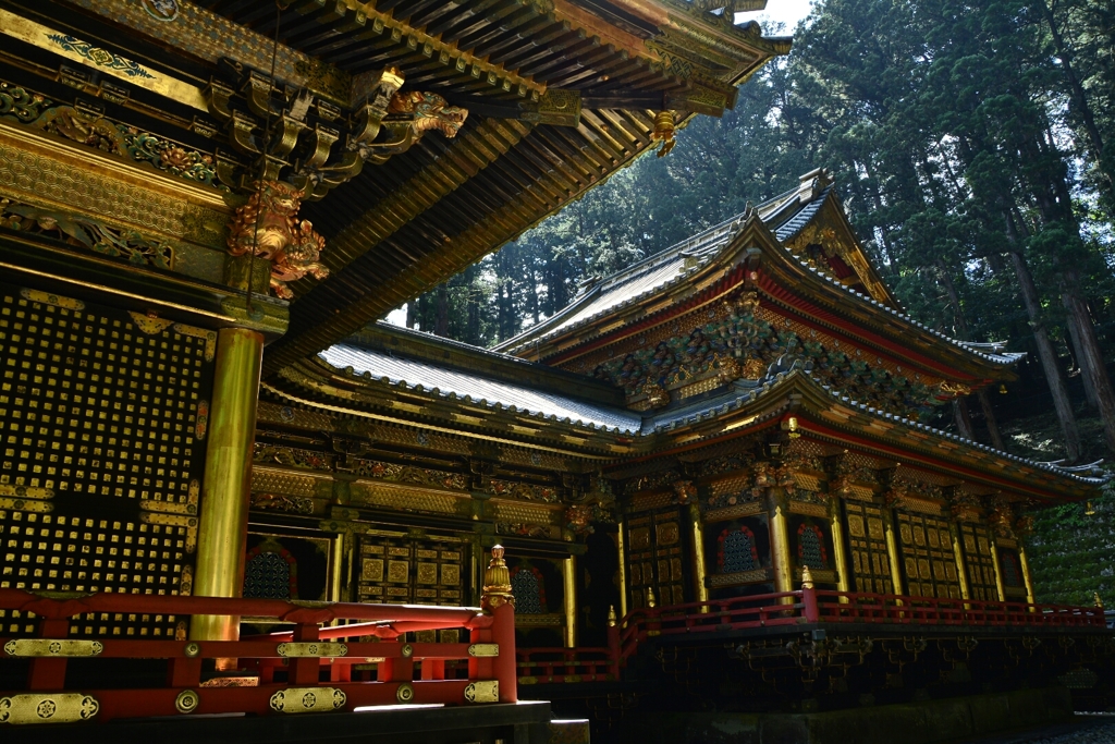 金色の大猷院
