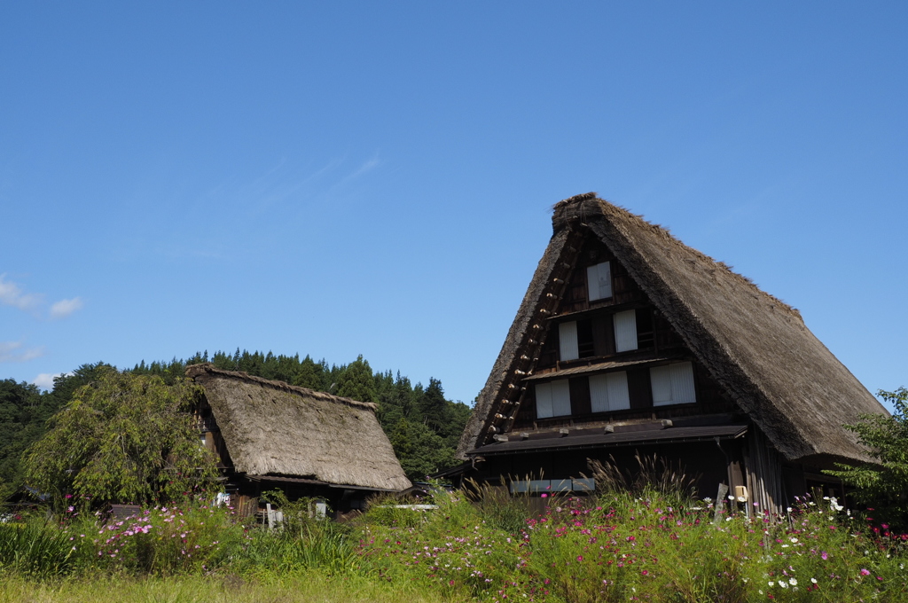 白川郷紀行　７