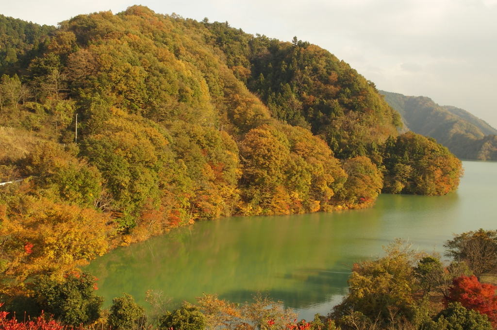 紅葉の泉