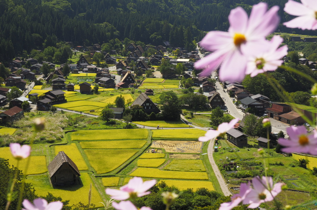 白川郷紀行　３