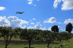 夏空