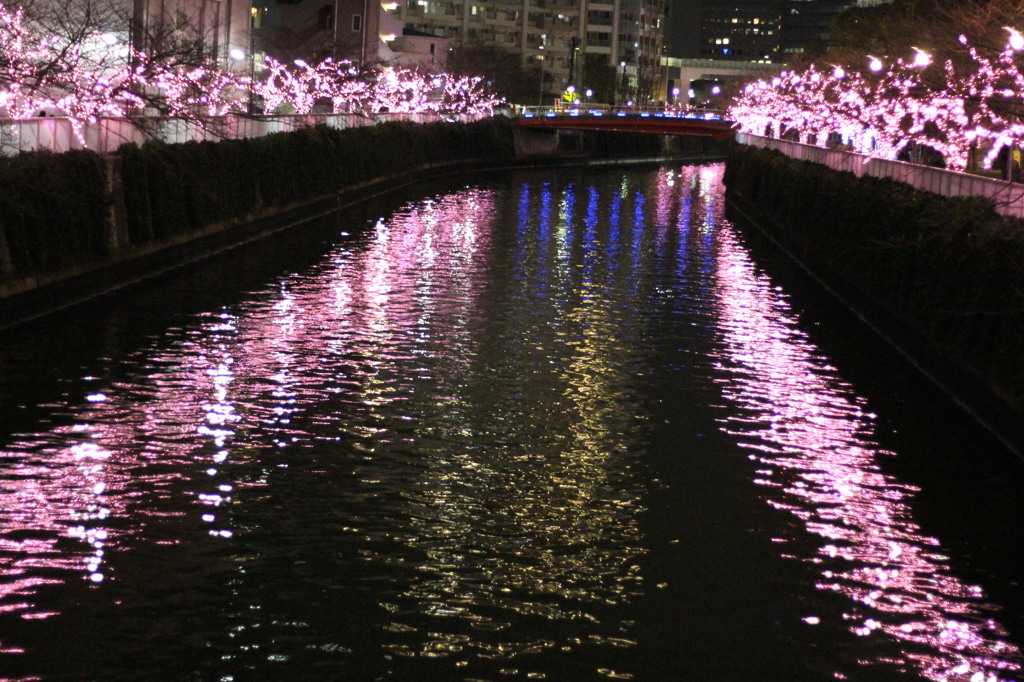 2015＿1220　みんなのイルミネーション
