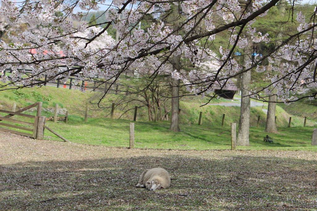 2015＿0419　群馬
