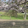 2015＿0419　群馬