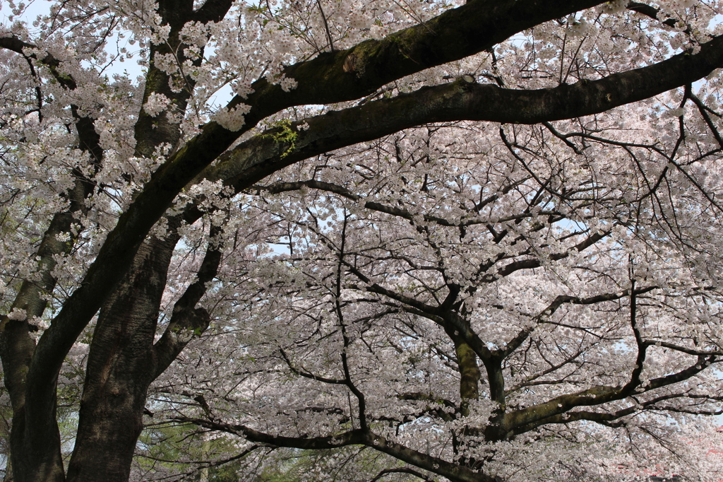 2015＿0419　群馬