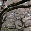 2015＿0419　群馬