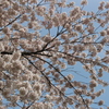 2015＿0419　群馬
