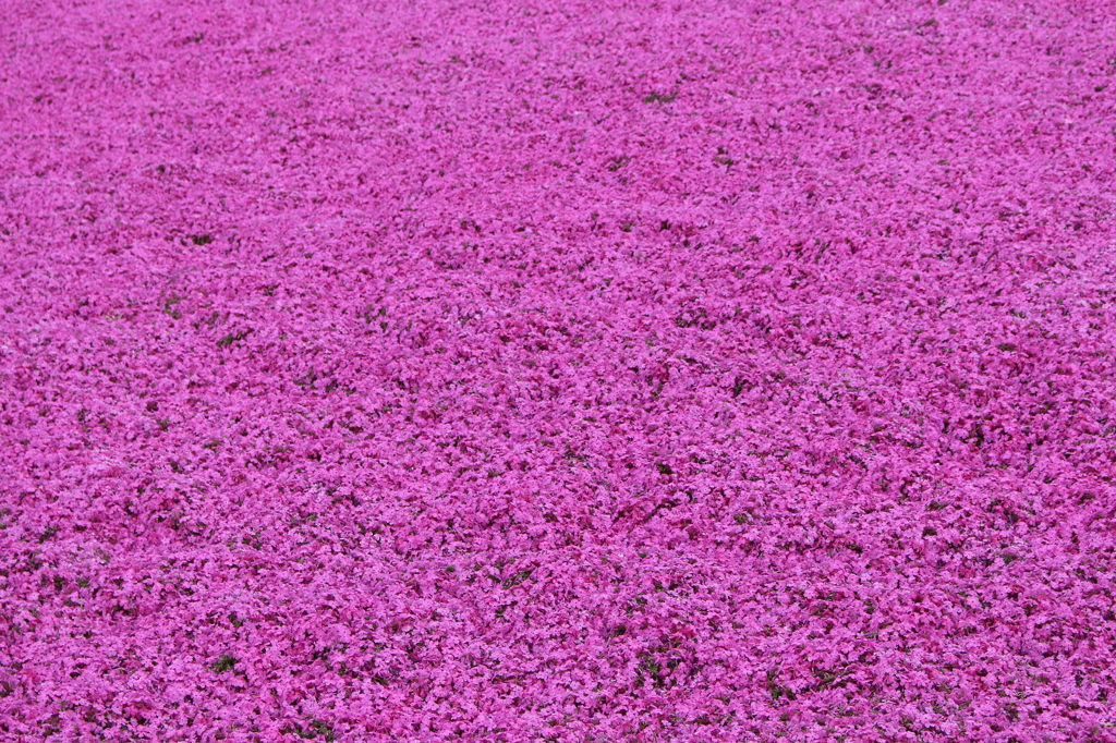 2015＿0419　群馬
