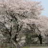 2015＿0419　群馬