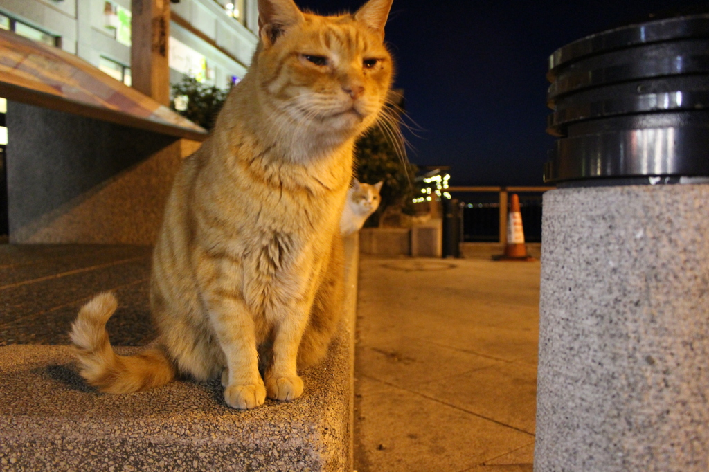 2015＿0328　江の島/箱根