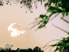 キノウミタ 雲