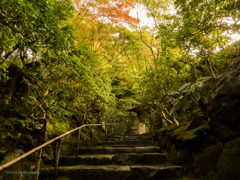 和の美へ続く石段... 秋さがしの旅 ♡京都 no.4