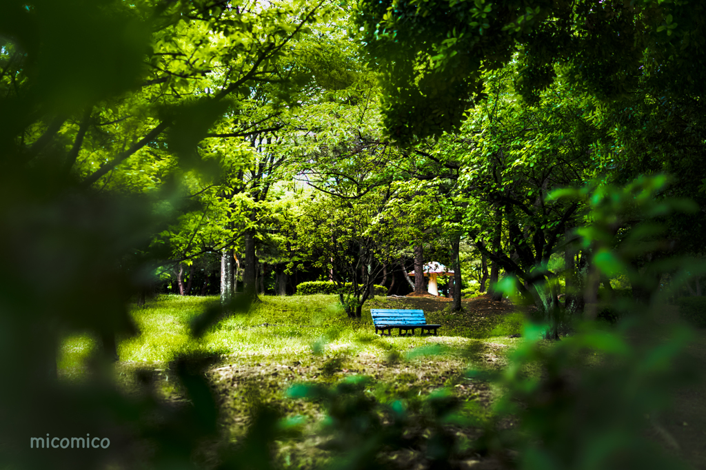 公園の…アオイロ♪