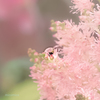 だいすき♡