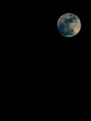 聖なる夜の月アカリ