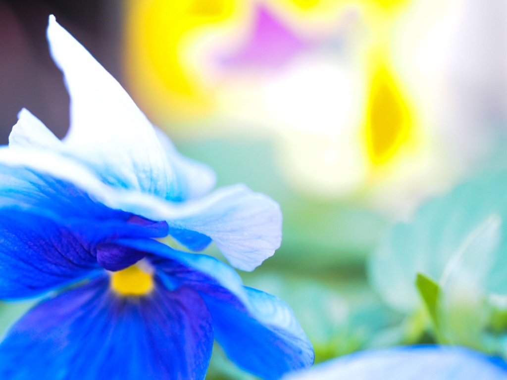 deep blue ♡♡♡♡