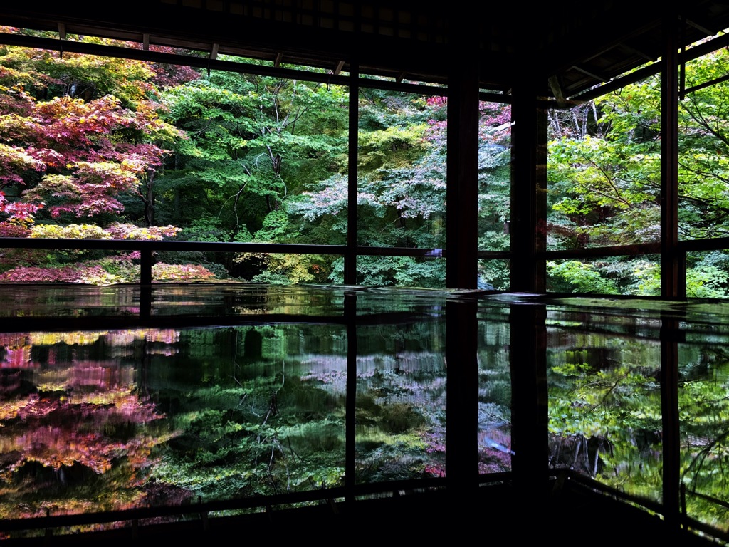 美しさに魅せられて… 秋さがしの旅 ♡京都 no.1