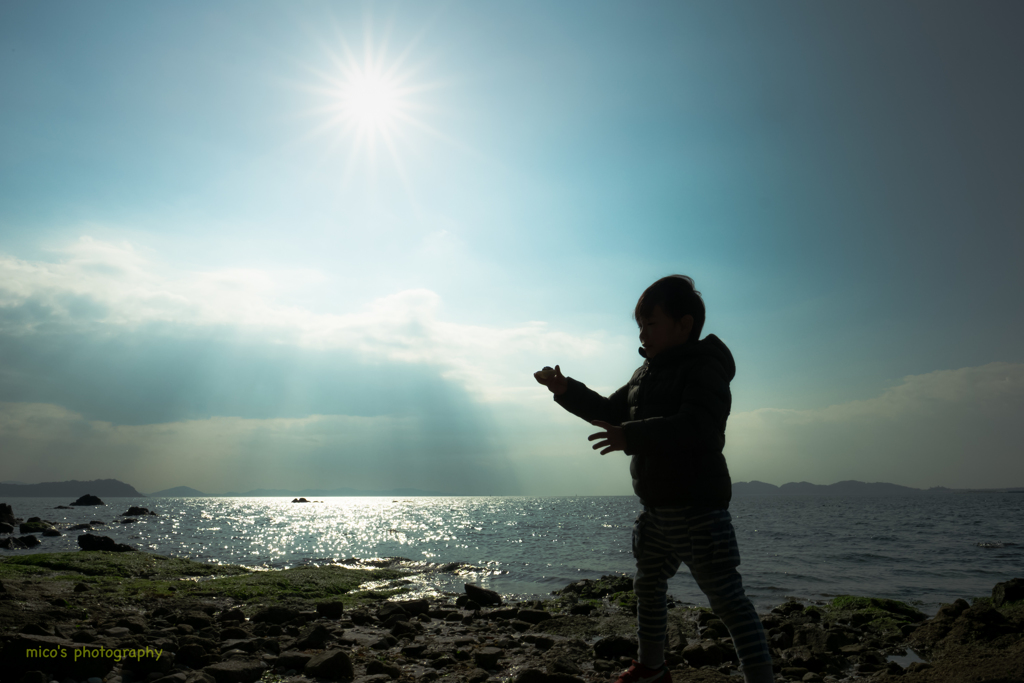 僕のお気に入りを太陽にかざしてﾟ･*:.｡. .｡.:*･゜