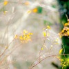 ちょっと ひとやすみ♡