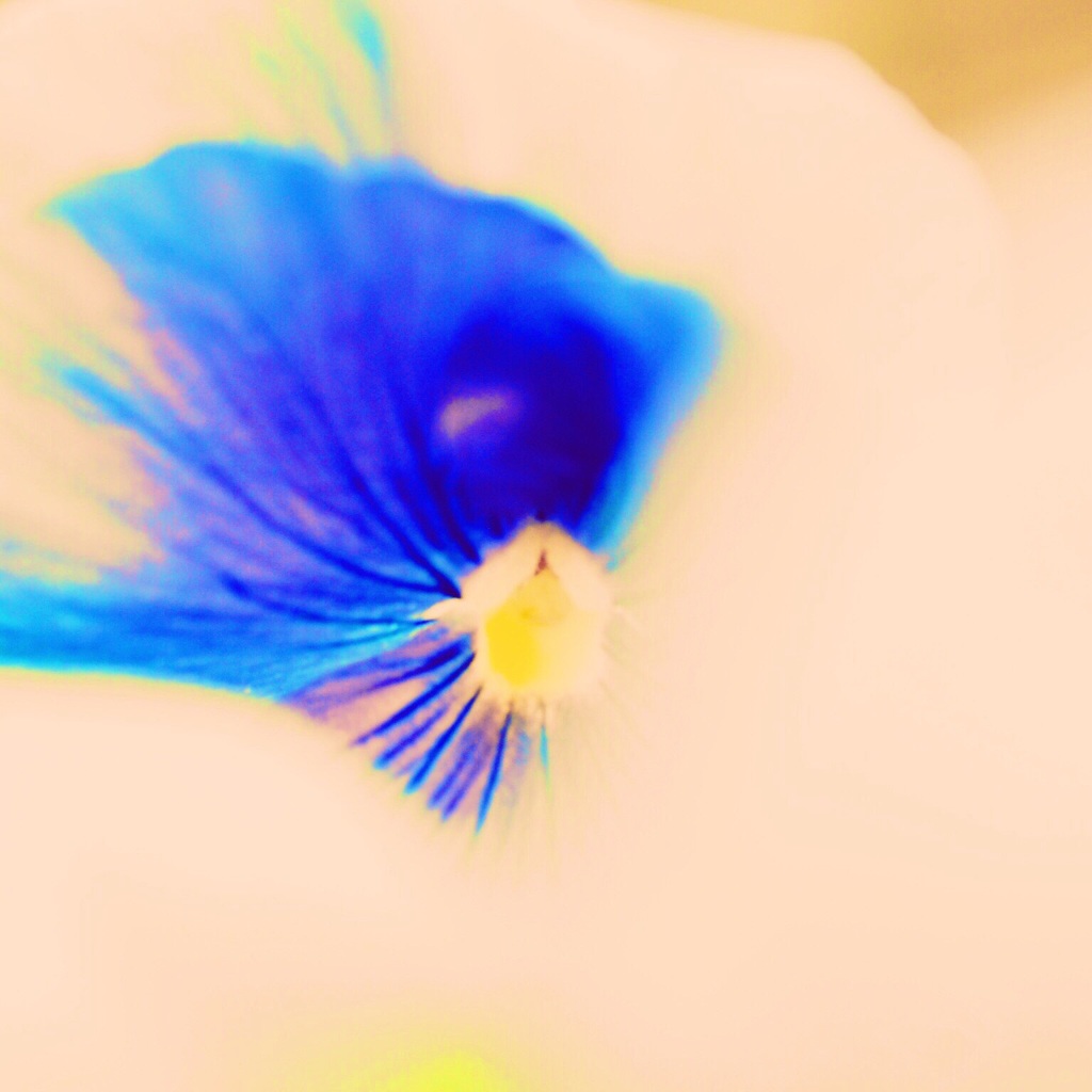 deep blue ♡♡