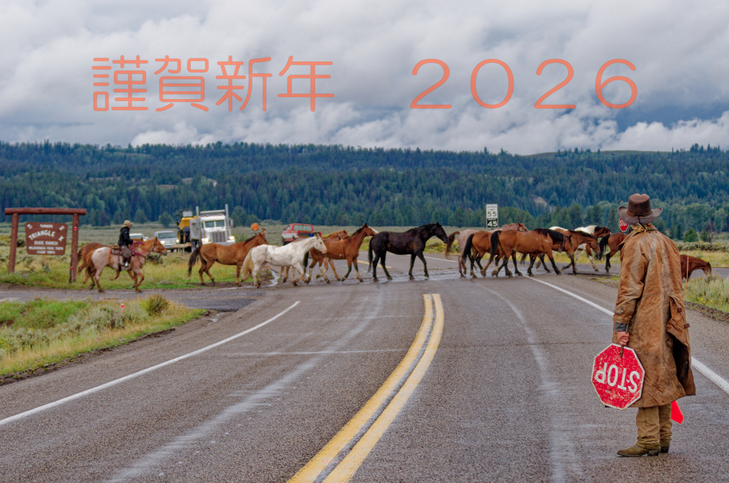 2026年もよろしくお願いいたします。