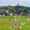 法起寺