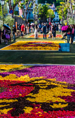 Infiorata