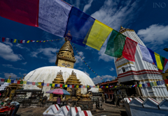Buddha's Eye