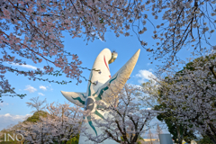 SAKURA EXPO