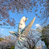 SAKURA EXPO