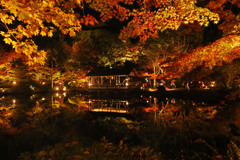 東山公園ライトアップ2