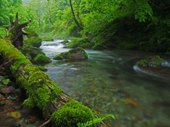 green river