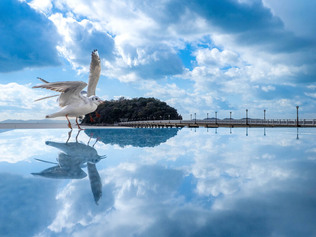 冬のシンメトリ