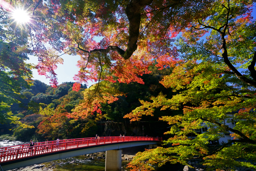 始まりの紅葉