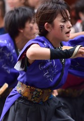 どまつり