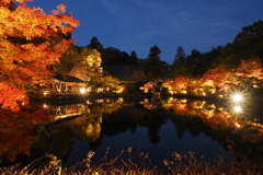 東山公園のライトアップ