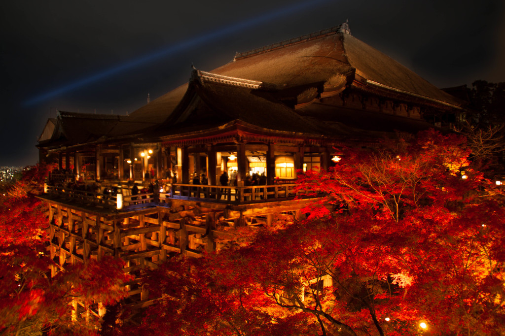 紅葉２