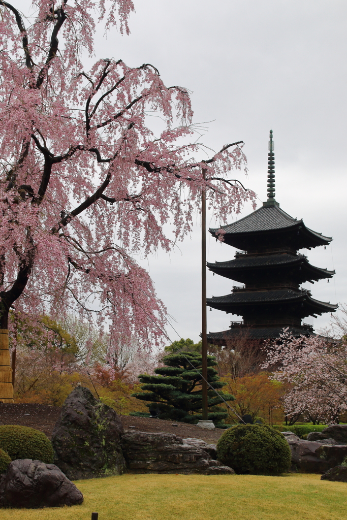 東寺