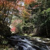 奥三河の紅葉