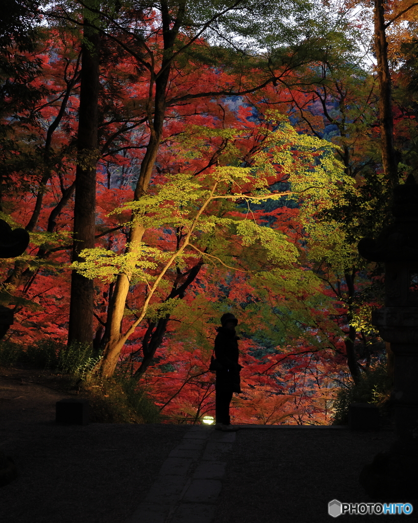 ライトの下で何を思う