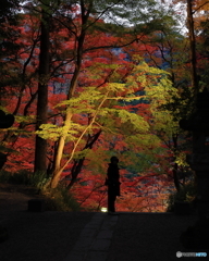 ライトの下で何を思う