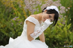 Wedding Dresses