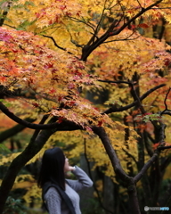 永観堂③