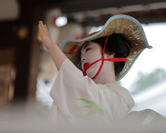 華麗に