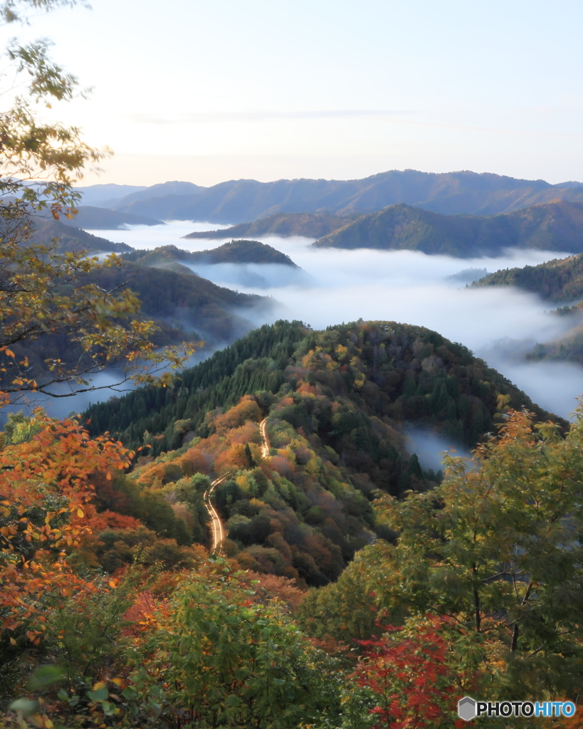 雲海と紅葉ＬＩＮＥ