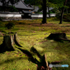 京都　南禅寺