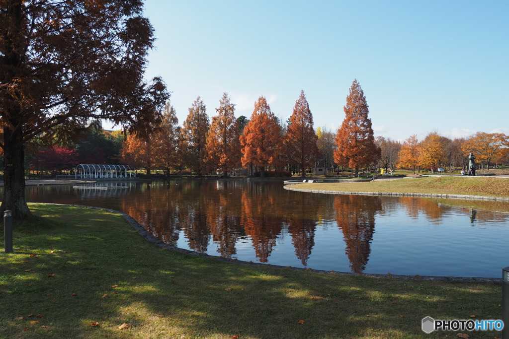 公園